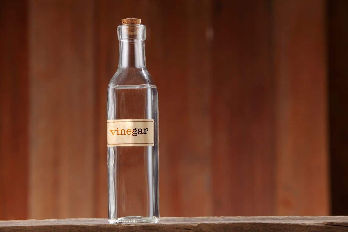 Eine Glasflasche mit der Aufschrift „Essig“.