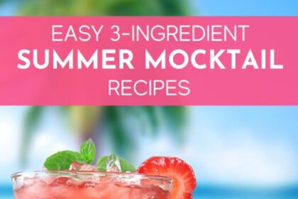 Super einfache 3-Zutaten-Mocktail-Rezepte für den Sommer • Steamy Kitchen-Rezept-Geschenke