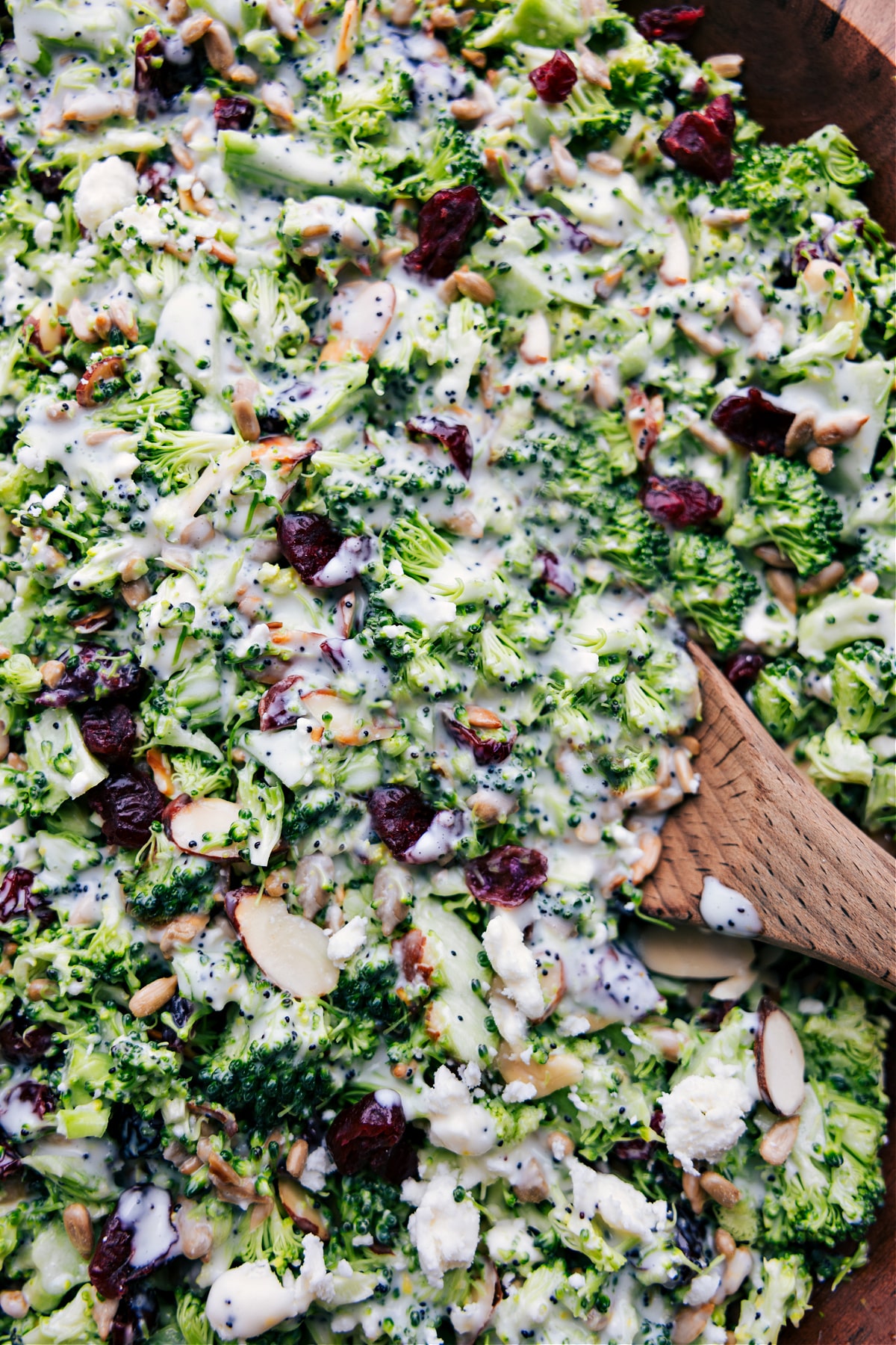 Zitronen-Mohn-Brokkoli-Salat, angemacht und bereit zum Genießen.