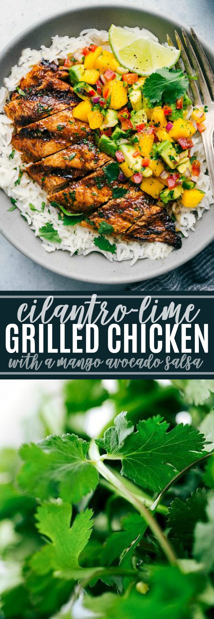 Das ultimativ BESTE Koriander-Limetten-Hähnchen aller Zeiten mit einer unglaublichen Mango-Salsa! via chelseasmessyapron.com #Koriander #Limette #Hähnchen #gegrillt #einfach #schnell #familienfreundlich #kinderfreundlich #Mango #Avocado #Salsa #gesund