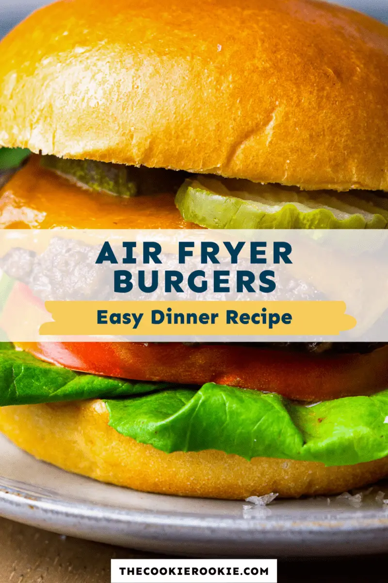 Airfryer-Burger-Pin