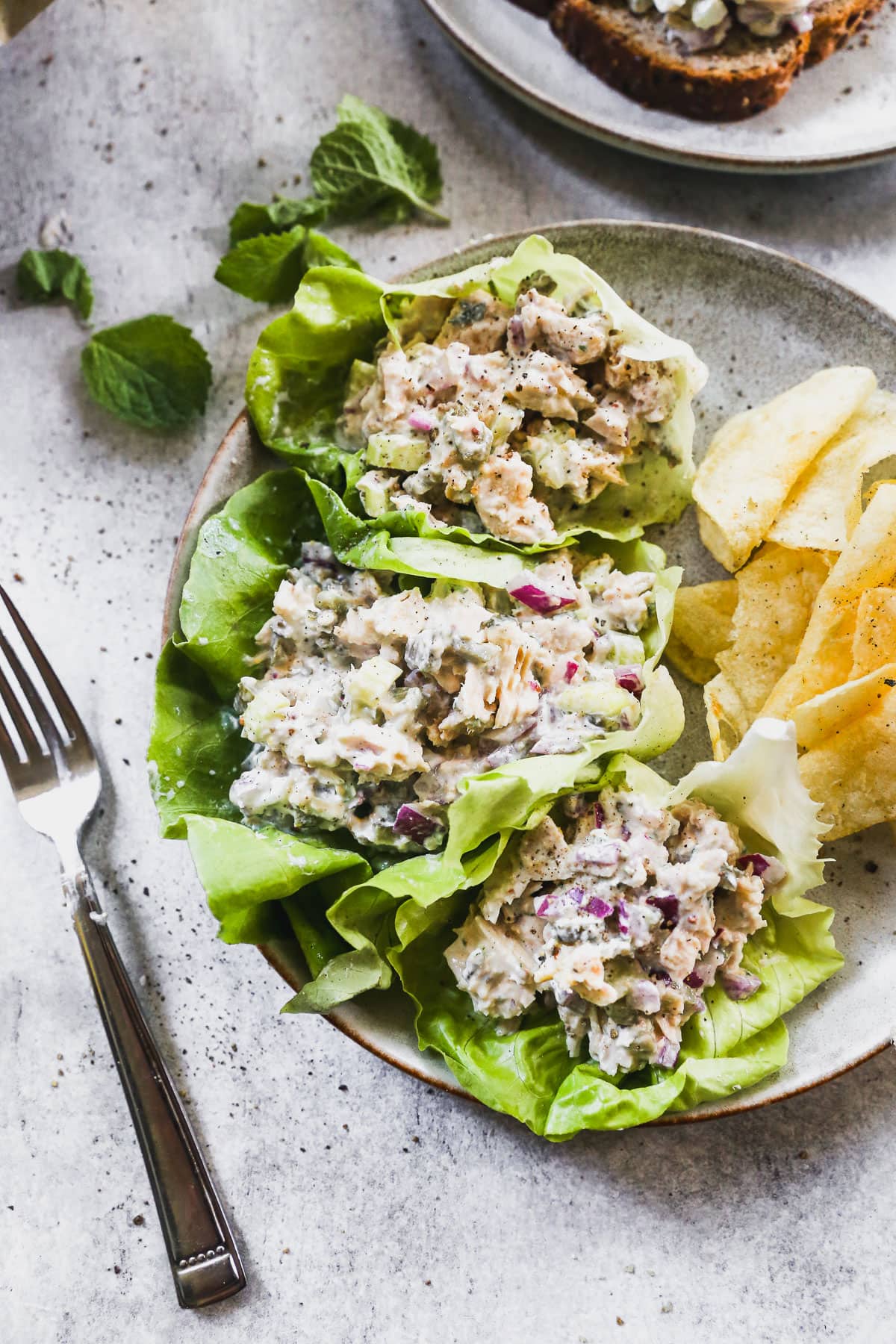 Cremiger Thunfischsalat in Salatblättern serviert