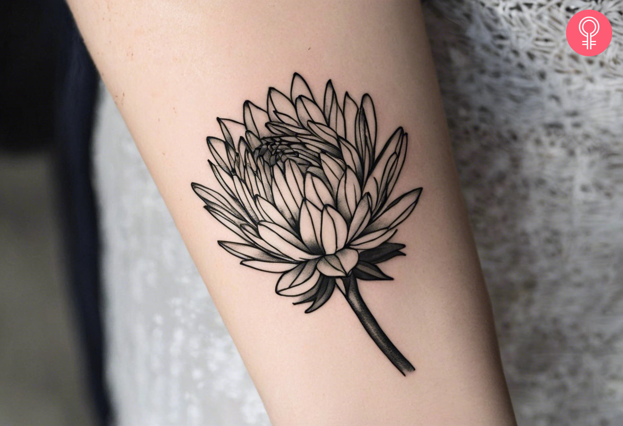 Schwarz-weißes Protea-Tattoo auf dem Unterarm